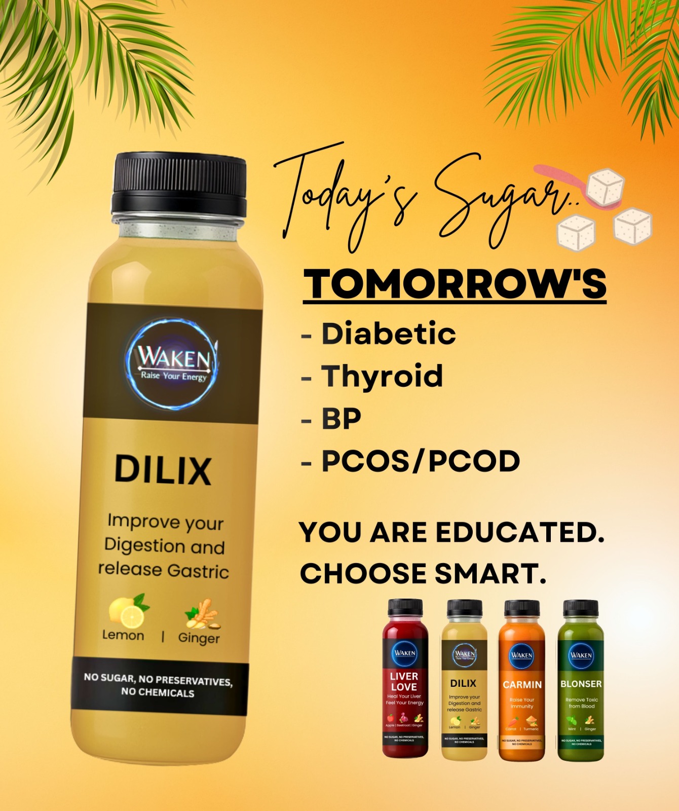 Dilix